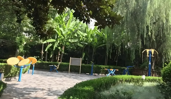 幼妻当道
